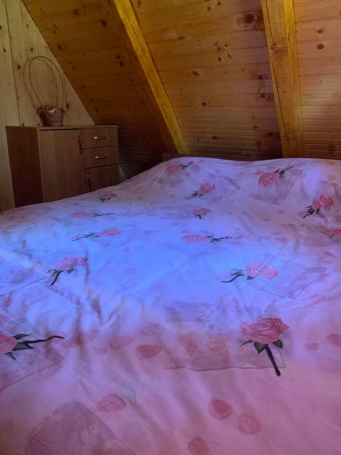 Žabljak Vikendica Fedoniヴィラ エクステリア 写真